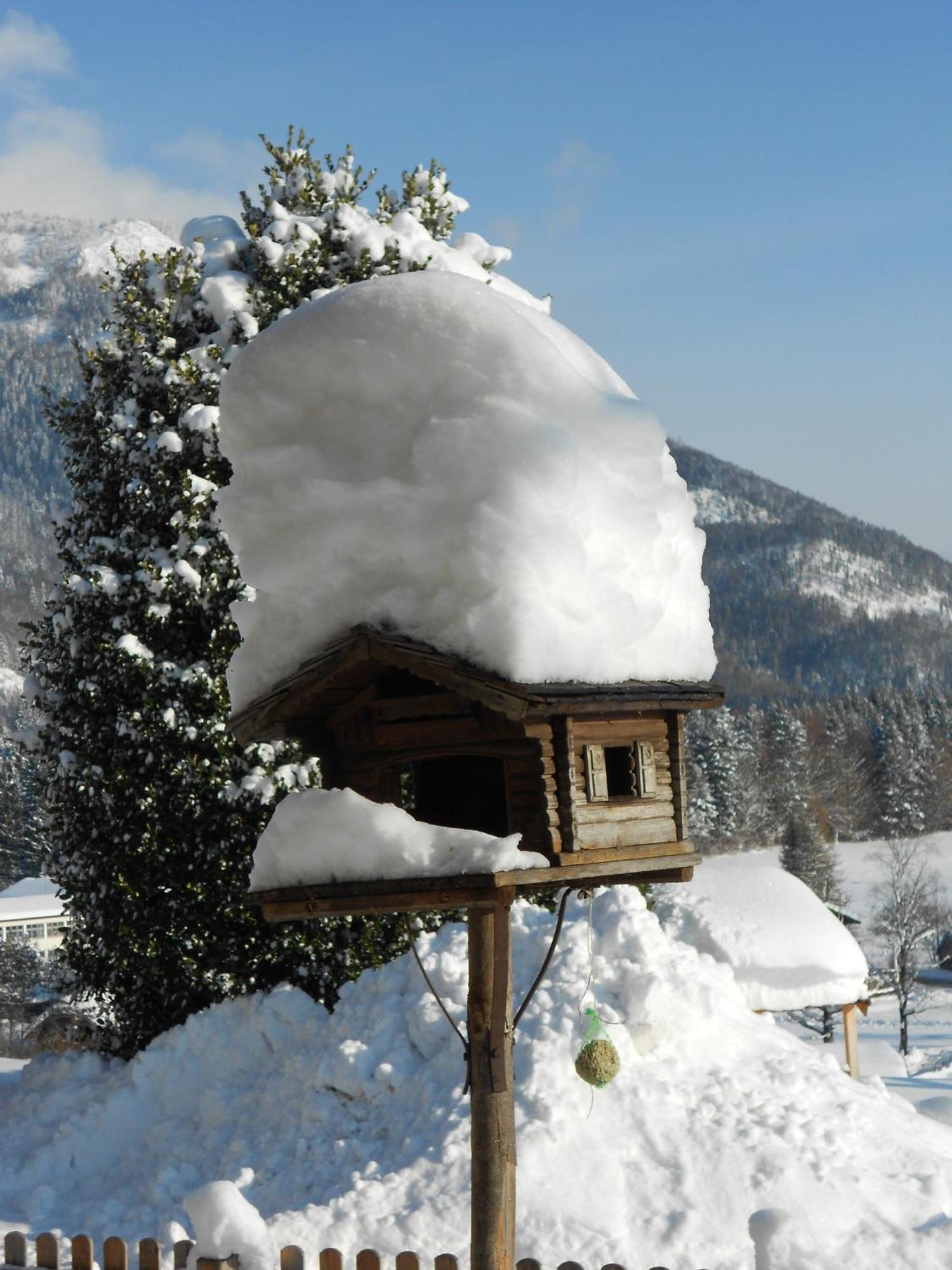 Paulbauer Vila Saint Wolfgang Exterior foto