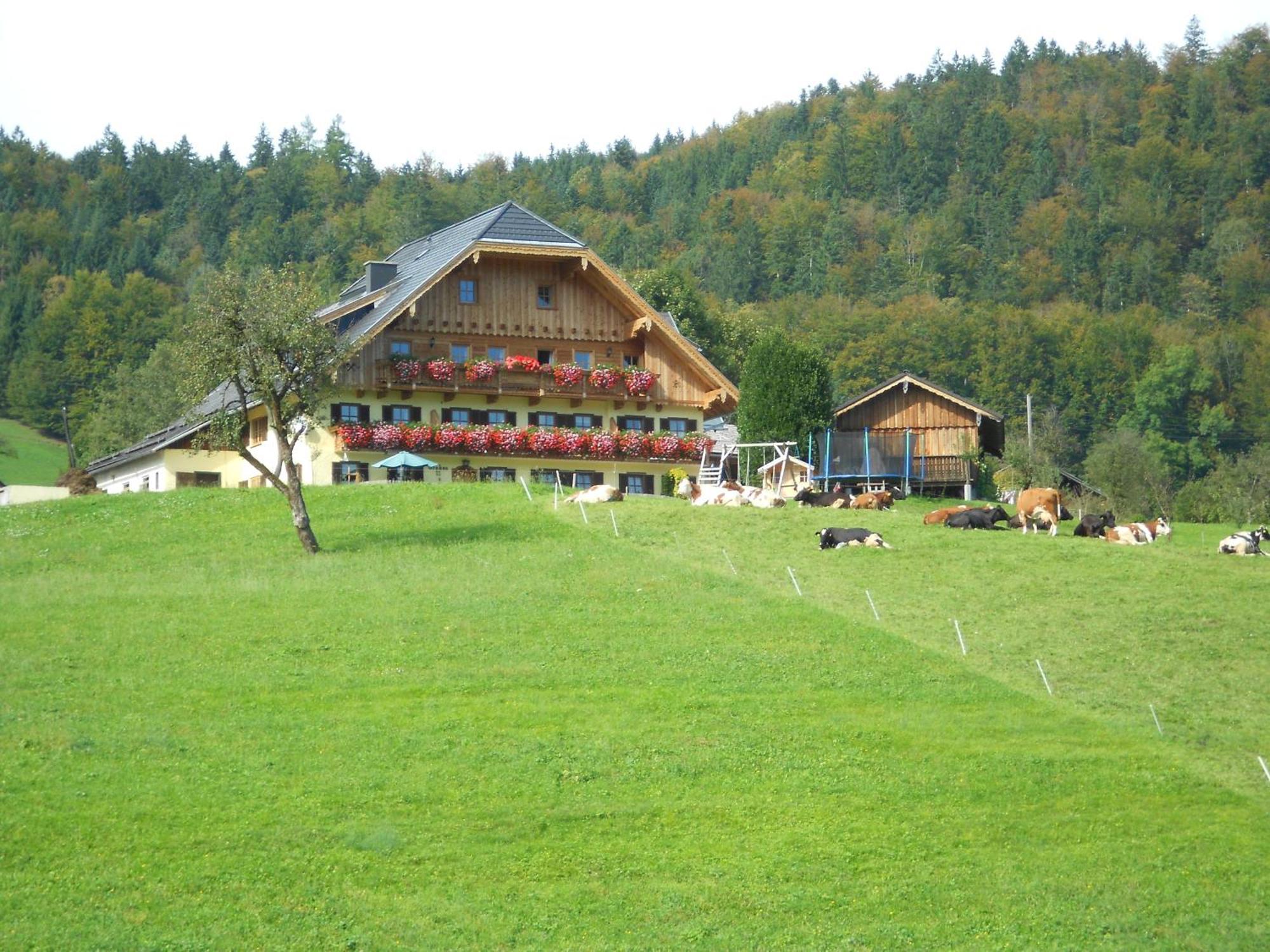 Paulbauer Vila Saint Wolfgang Exterior foto