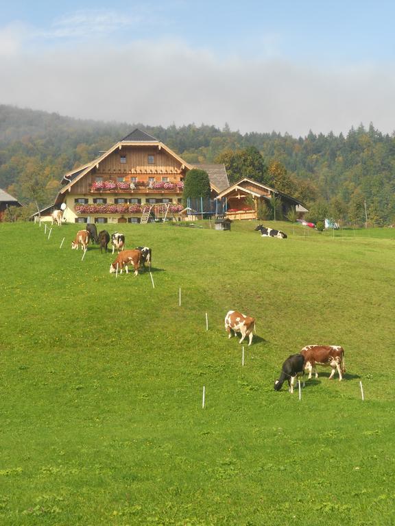 Paulbauer Vila Saint Wolfgang Exterior foto